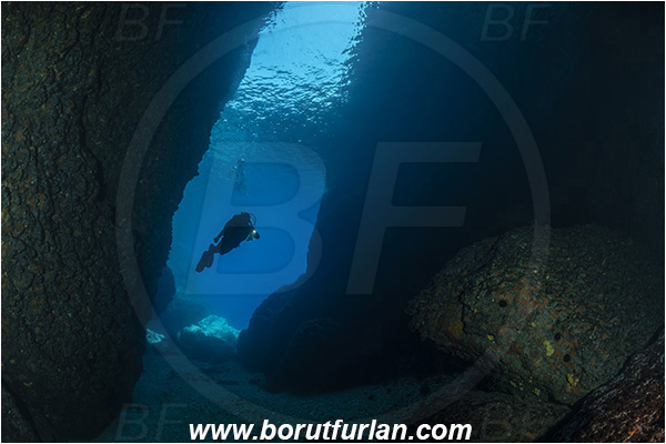 Island Bisevo, Croatia, Adriatic sea, Mediterranean sea, Reef, Cave, Medvidina cave, Canyon, Diver