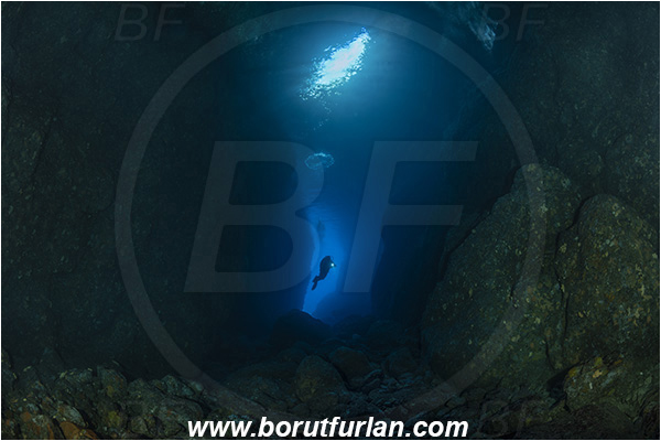Island Bisevo, Croatia, Adriatic sea, Mediterranean sea, Reef, Cave, Medvidina cave, Canyon, Diver