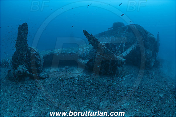 Island Vis, Croatia, Adriatic sea, Mediterranean sea, Wreck, Airplane, Bomber, B-17, Flying fortress