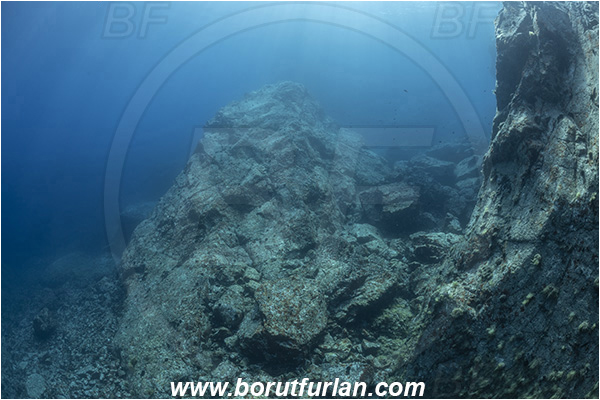 Island Brusnik, Croatia, Adriatic sea, Mediterranean sea, Reef, Rocks
