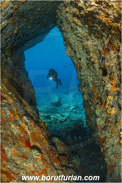 Island Brusnik, Croatia, Adriatic sea, Mediterranean sea, Colourful sponges, Porifera, Reef, Cave, Rocks, Stones, Diver