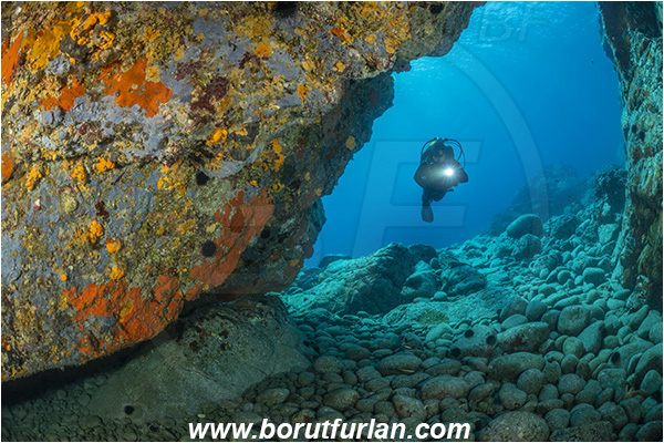 Island Brusnik, Croatia, Adriatic sea, Mediterranean sea, Colourful sponges, Porifera, Reef, Cave, Rocks, Stones, Diver