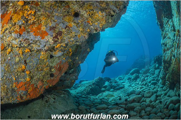 Island Brusnik, Croatia, Adriatic sea, Mediterranean sea, Colourful sponges, Porifera, Reef, Cave, Rocks, Stones, Diver
