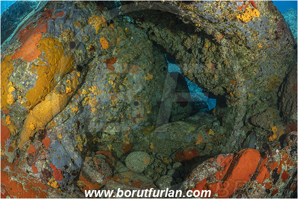 Island Brusnik, Croatia, Adriatic sea, Mediterranean sea, Colourful sponges, Porifera, Reef, Cave, Rocks, Stones