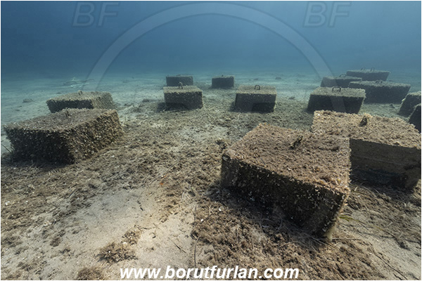 Island Vis, Croatia, Adriatic sea, Mediterranean sea, Reef, Concrete block, Mooring
