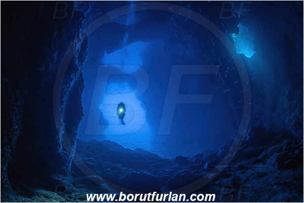 Island Bisevo, Croatia, Adriatic sea, Mediterranean sea, Reef, Cave, Blue cave, Diver, Fish school