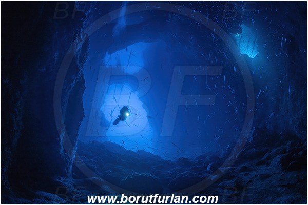 Island Bisevo, Croatia, Adriatic sea, Mediterranean sea, Reef, Cave, Blue cave, Diver, Fish school