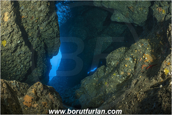 Island Vis, Croatia, Adriatic sea, Mediterranean sea, Reef, Cave