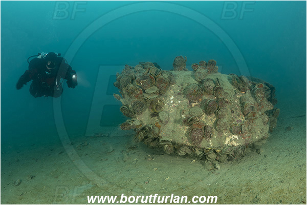 Fiesa, Slovenia, Adriatic sea, Mediterranean sea, Wreck, Boat, Diver
