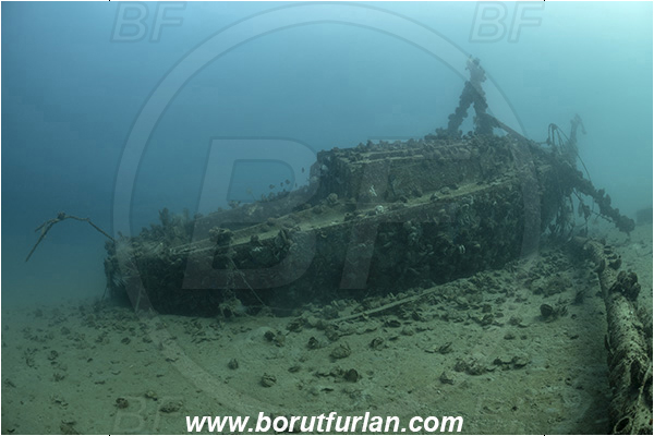 Fiesa, Slovenia, Adriatic sea, Mediterranean sea, Wreck, Boat