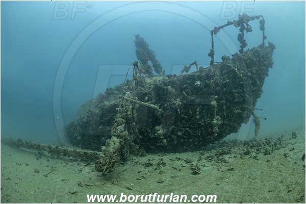 Fiesa, Slovenia, Adriatic sea, Mediterranean sea, Wreck, Boat