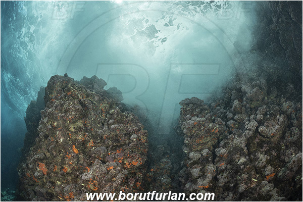 Island Susac, Croatia, Adriatic sea, Mediterranean sea, Reef, Rocks, Waves, Foam