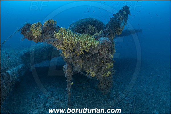 Island Vis, Croatia, Adriatic sea, Mediterranean sea, Wreck, Airplane, Bomber, B-17, Flying fortress, Propeller, Engine