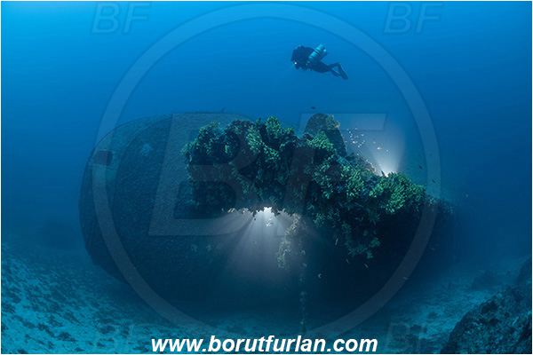 Island Vis, Croatia, Adriatic sea, Mediterranean sea, Wreck Brioni, Wreck, Brioni, Stern, Diver