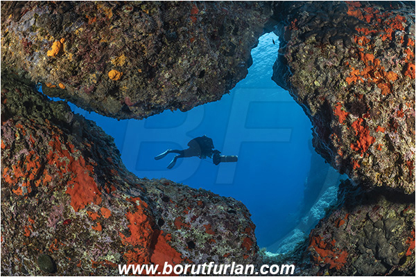Island Svetac, Croatia, Adriatic sea, Mediterranean sea, Reef, Rocks, Diver, Underwater scooter, Window, Red sponge