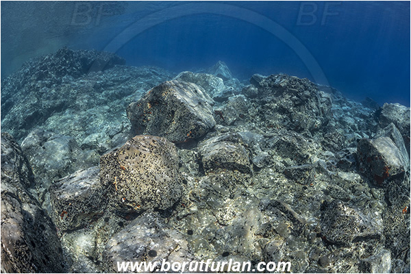 Island Brusnik, Croatia, Adriatic sea, Mediterranean sea, Reef, Rocks