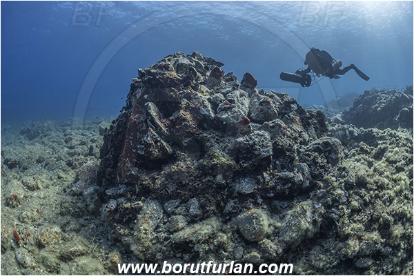 Island Brusnik, Croatia, Adriatic sea, Mediterranean sea, Reef, Rocks, Diver, Underwater scooter