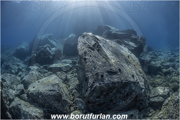Island Brusnik, Croatia, Adriatic sea, Mediterranean sea, Reef, Rocks