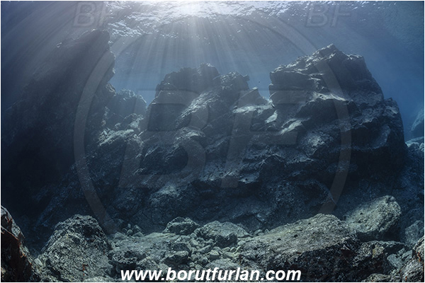 Island Brusnik, Croatia, Adriatic sea, Mediterranean sea, Reef, Rocks