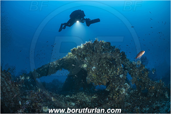 Island Brusnik, Croatia, Adriatic sea, Mediterranean sea, Wreck, Michael N. Maris, Diver, Technical diver, Underwater scooter