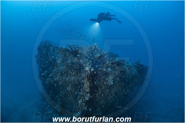Island Brusnik, Croatia, Adriatic sea, Mediterranean sea, Wreck, Michael N. Maris, Diver, Technical diver, Underwater scooter, Bow