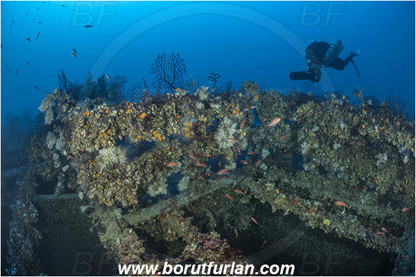 Island Brusnik, Croatia, Adriatic sea, Mediterranean sea, Wreck, Michael N. Maris, Diver, Technical diver, Underwater scooter