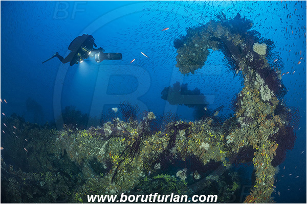 Island Brusnik, Croatia, Adriatic sea, Mediterranean sea, Wreck, Michael N. Maris, Diver, Technical diver, Underwater scooter, Fish school