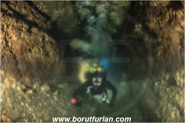 Island Vis, Croatia, Adriatic sea, Mediterranean sea, Reef, Cave, Diver, Blur, Halocline