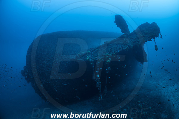 Island Vis, Croatia, Adriatic sea, Mediterranean sea, Wreck Vassilios, Wreck, Vassilios, Stern, Propeller