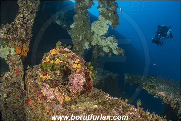 Island Vis, Croatia, Adriatic sea, Mediterranean sea, Wreck Vassilios, Wreck, Vassilios, Diver, Underwater scooter, Technical diver