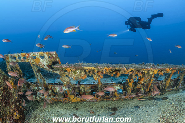 Island Vis, Croatia, Adriatic sea, Mediterranean sea, Wreck, Airplane, Bomber, B-24, Consolidated B-24 Liberator, Diver