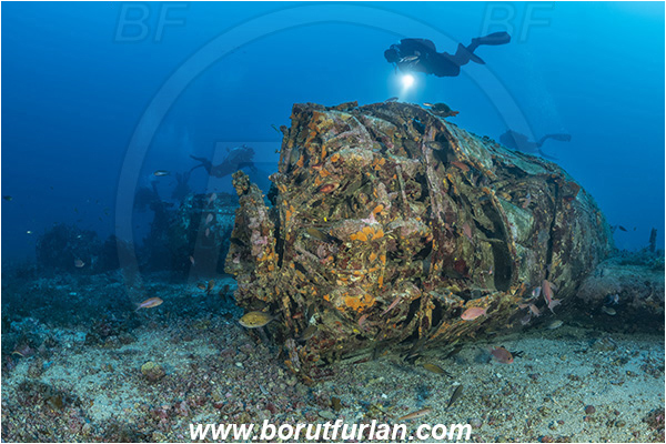 Island Vis, Croatia, Adriatic sea, Mediterranean sea, Wreck, Airplane, Bomber, B-24, Consolidated B-24 Liberator, Diver, Divers