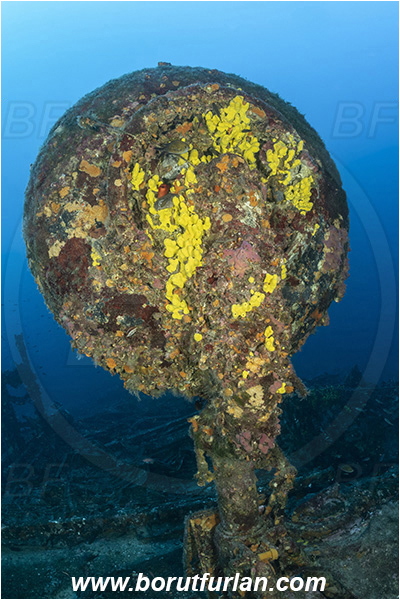 Island Vis, Croatia, Adriatic sea, Mediterranean sea, Wreck, Airplane, Bomber, B-24, Consolidated B-24 Liberator, Wheel