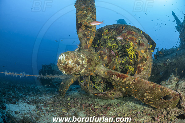 Island Vis, Croatia, Adriatic sea, Mediterranean sea, Wreck, Airplane, Bomber, B-24, Consolidated B-24 Liberator, Propeller