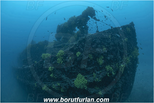 Island Lastovo, Croatia, Adriatic sea, Wreck Peloro, Peloro, Wreck, Bow