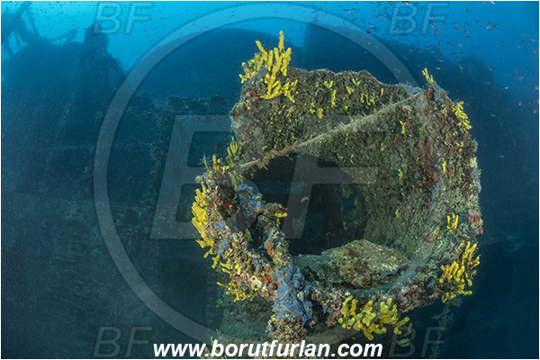 Boka Kotorska, Croatia, Adriatic sea, Mediterranean sea, Wreck Kaiser Franz Josef, Wreck, Kaiser Franz Josef