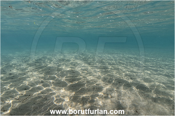 Ankaran, Slovenia, Adriatic sea, Mediterranean sea, Sand, Sandy bottom