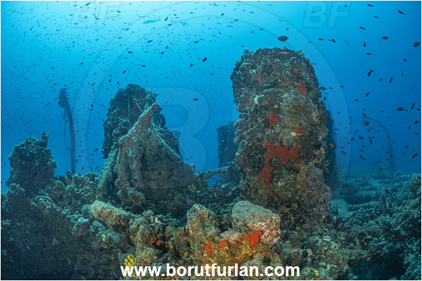 Pula, Istria, Croatia, Adriatic sea, Mediterranean sea, Wreck Baron Gautsch, Baron Gautsch, Wreck