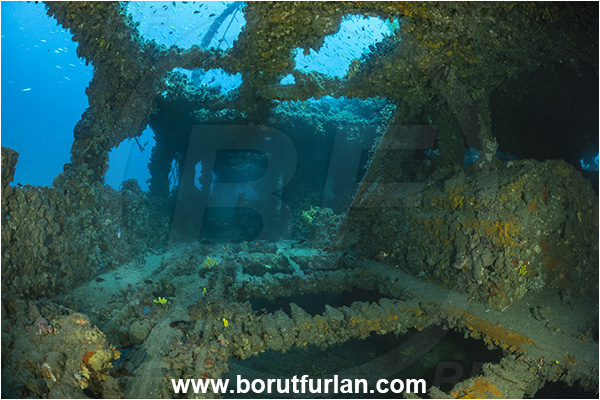 Pula, Istria, Croatia, Adriatic sea, Mediterranean sea, Wreck Baron Gautsch, Baron Gautsch, Wreck