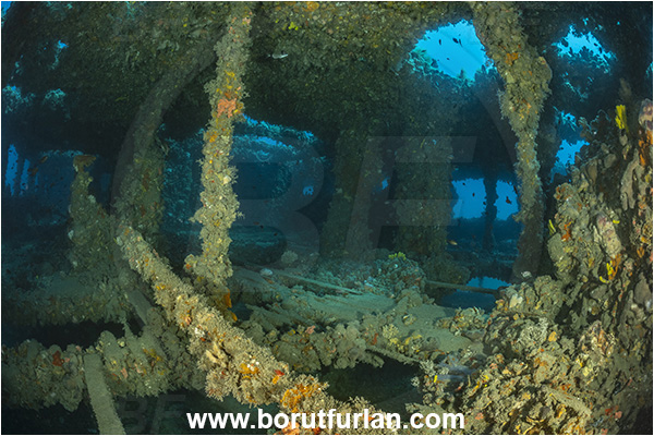 Pula, Istria, Croatia, Adriatic sea, Mediterranean sea, Wreck Baron Gautsch, Baron Gautsch, Wreck