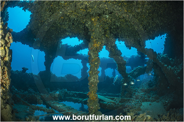 Pula, Istria, Croatia, Adriatic sea, Mediterranean sea, Wreck Baron Gautsch, Baron Gautsch, Wreck