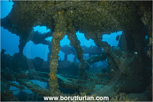 Pula, Istria, Croatia, Adriatic sea, Mediterranean sea, Wreck Baron Gautsch, Baron Gautsch, Wreck