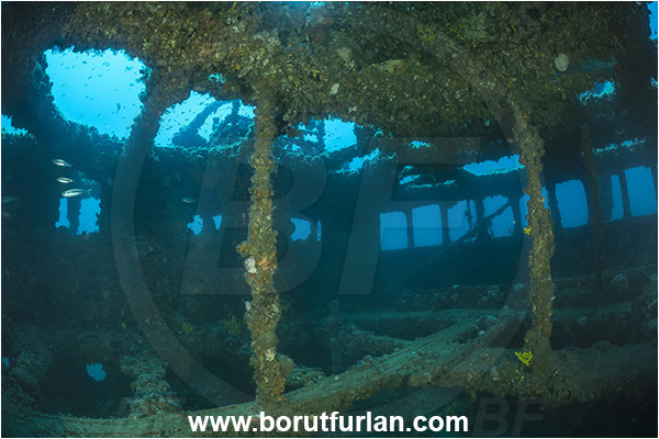 Pula, Istria, Croatia, Adriatic sea, Mediterranean sea, Wreck Baron Gautsch, Baron Gautsch, Wreck