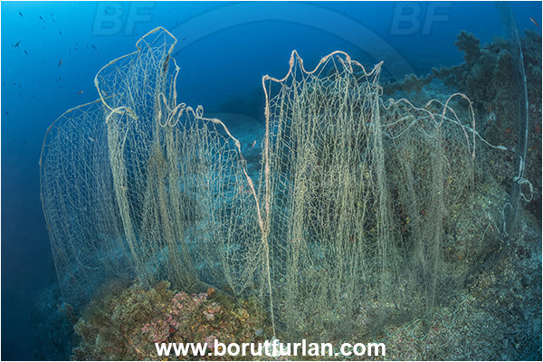 Island Korcula, Croatia, Adriatic sea, Mediterranean sea, Reef, Abandoned fishing net, Discarded fishing net