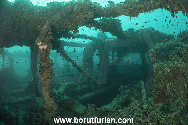 Pula, Istria, Croatia, Adriatic sea, Mediterranean sea, Wreck Baron Gautsch, Baron Gautsch, Wreck