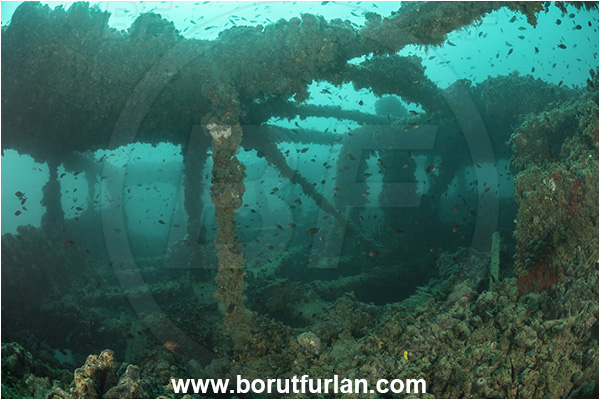 Pula, Istria, Croatia, Adriatic sea, Mediterranean sea, Wreck Baron Gautsch, Baron Gautsch, Wreck