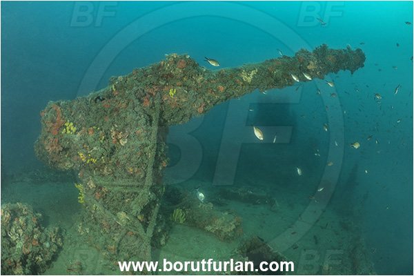Rovinj, Istria, Croatia, Adriatic sea, Mediterranean sea, Wreck Giuseppe Dezza, Giuseppe Dezza, Wreck