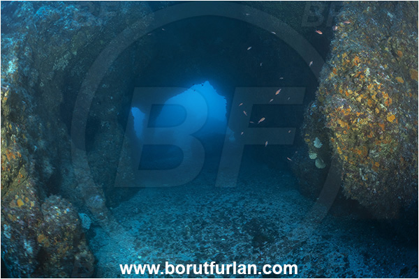 Calabria, Scilla, Italy, Tyrrhenian Sea, Mediterranean sea, Cave, Reef, Window, Pillar, Tunnel