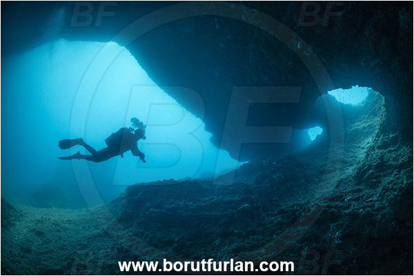 Sorrento, Napoli, Italy, Tyrrhenian Sea, Mediterranean sea, Cave, Reef, Diver