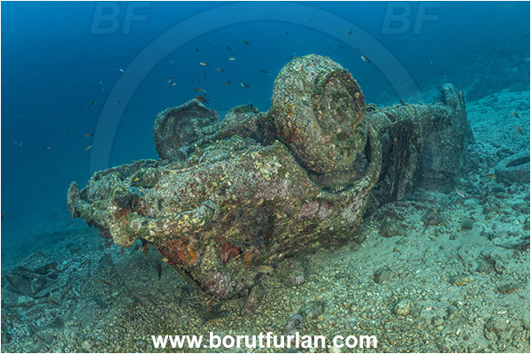 Brsec, Istria, Croatia, Adriatic sea, Mediterranean sea, Wreck, Car, Car wreck